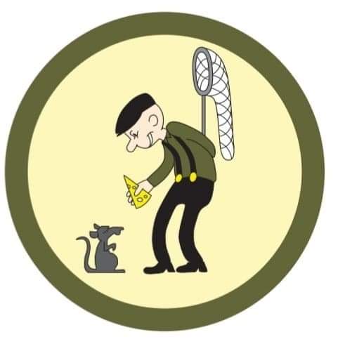 Skadedyrbyrået Trond Øyvåg AS | Skadedyrbyraaet AS